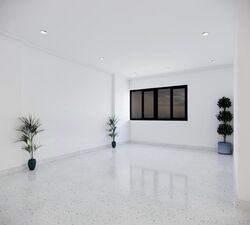 Spottiswoode Park (D2), Apartment #566521891